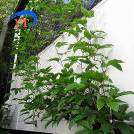 YT Stainless Steel Wire Rope Mesh Ferruled Type / Knotted Type For Green Plants